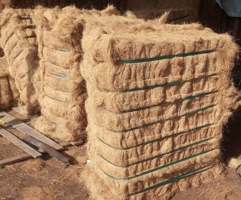 Natural cocofiber from coconut husk for mattress, automotive, and industry use
