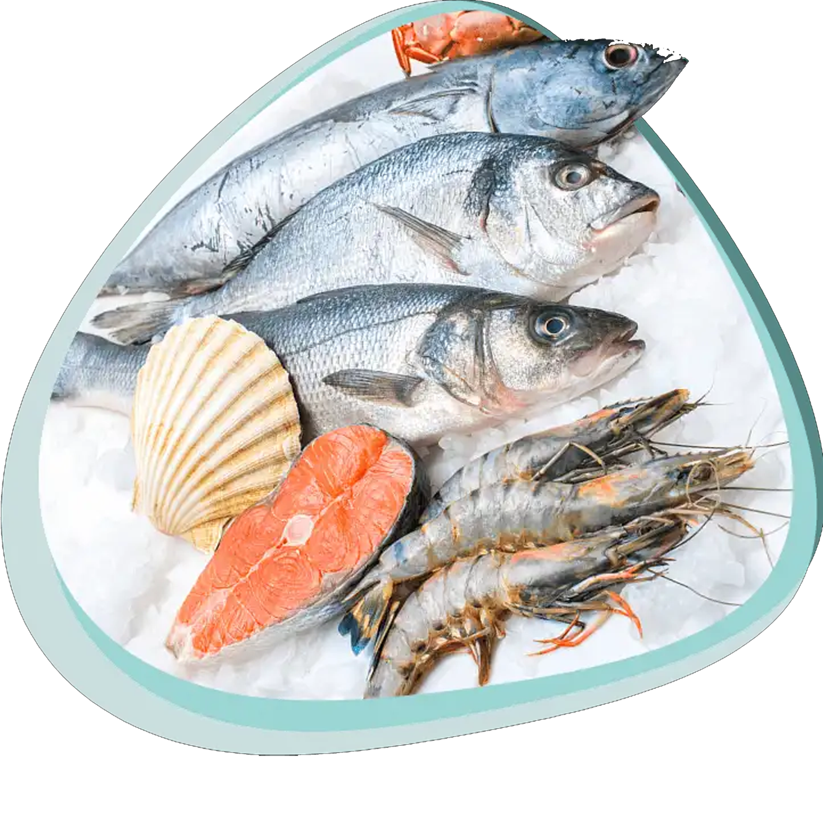 Fresh and frozen seafood export from PT. HAS Agro Resources Indonesia