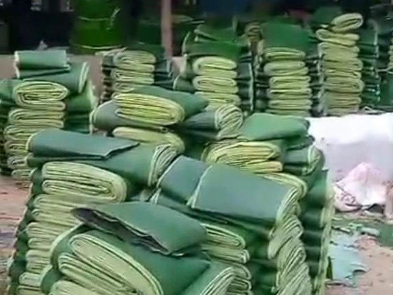 Key Features of PT. HAS Agro Resources Fresh Banana Leaves – Durable, Hygienic, Eco-Friendly Export-Grade Leaves