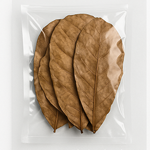 Key Features of Export-Quality Dried Catappa Leaves – High Tannin Content, Natural, Chemical-Free